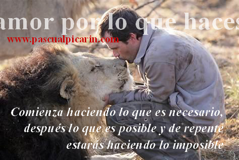 amor por lo que haces