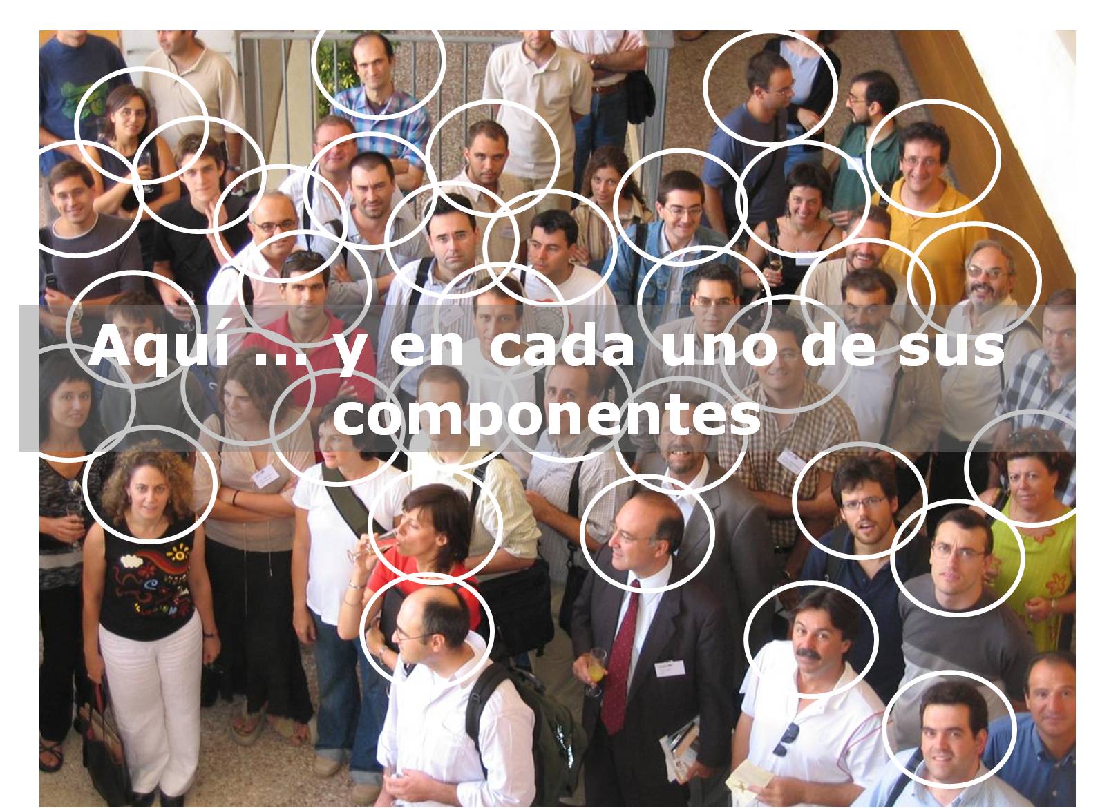 Imagen14